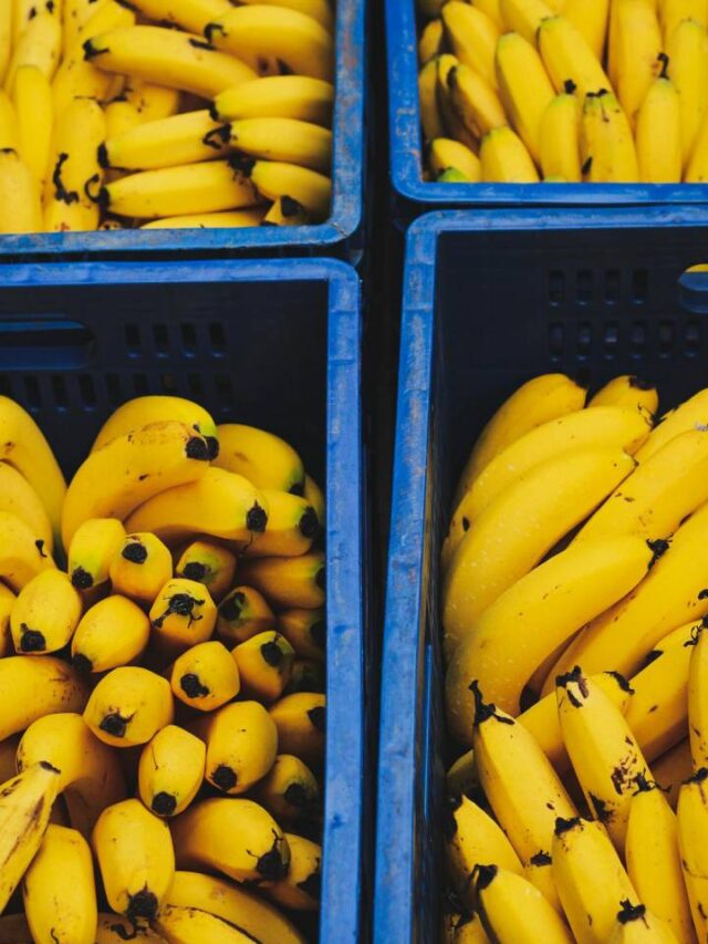 Nem na geladeira, nem na dispensa: esse é melhor lugar para armazenar bananas
