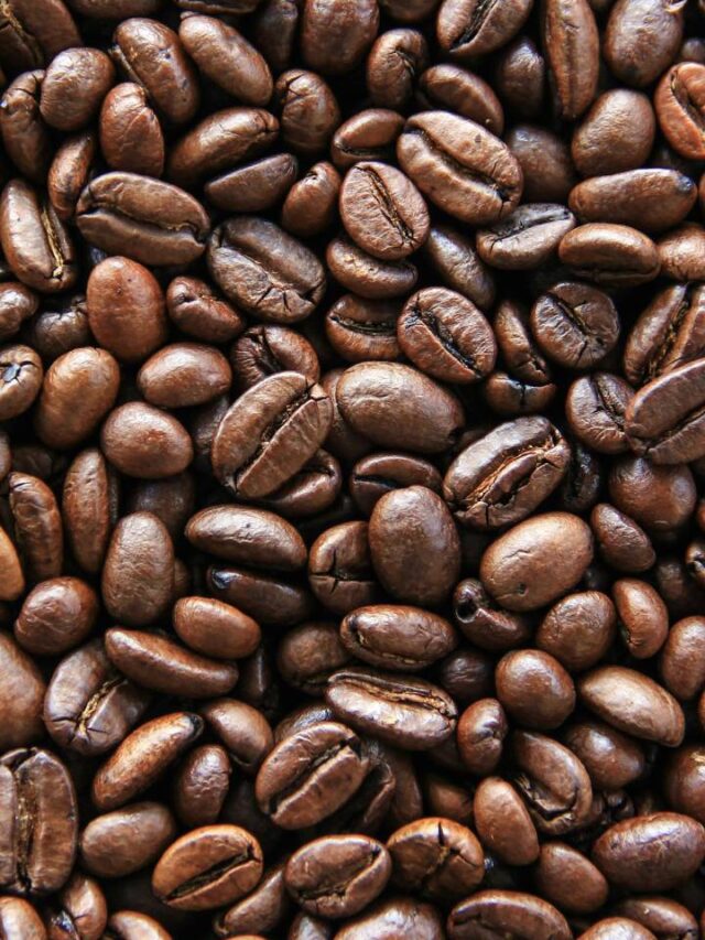 ‘Terra do café’ é cidade mais alta e fria do nordeste