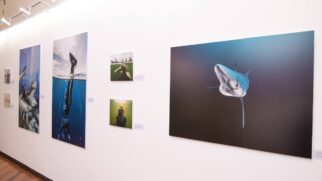 Exposição integra a 3ª edição do projeto Arte na Pinacoteca da Baixada Santista