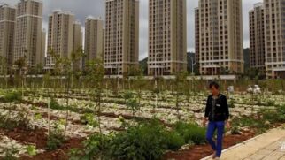 As cidades fantasmas da China: vilas de luxo viram moradia de fazendeiros
