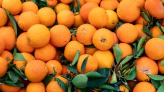 O estado de São Paulo é o maior produtor dessa fruta no País