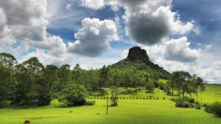 Analândia está localizada a cerca de 224 km da capital paulista e a 130 km de Campinas.