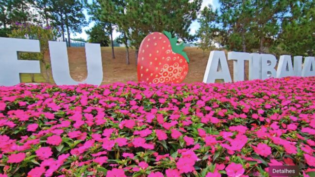 Cidade do interior de SP une tradição japonesa, clima ameno e lavouras de dar água na boca