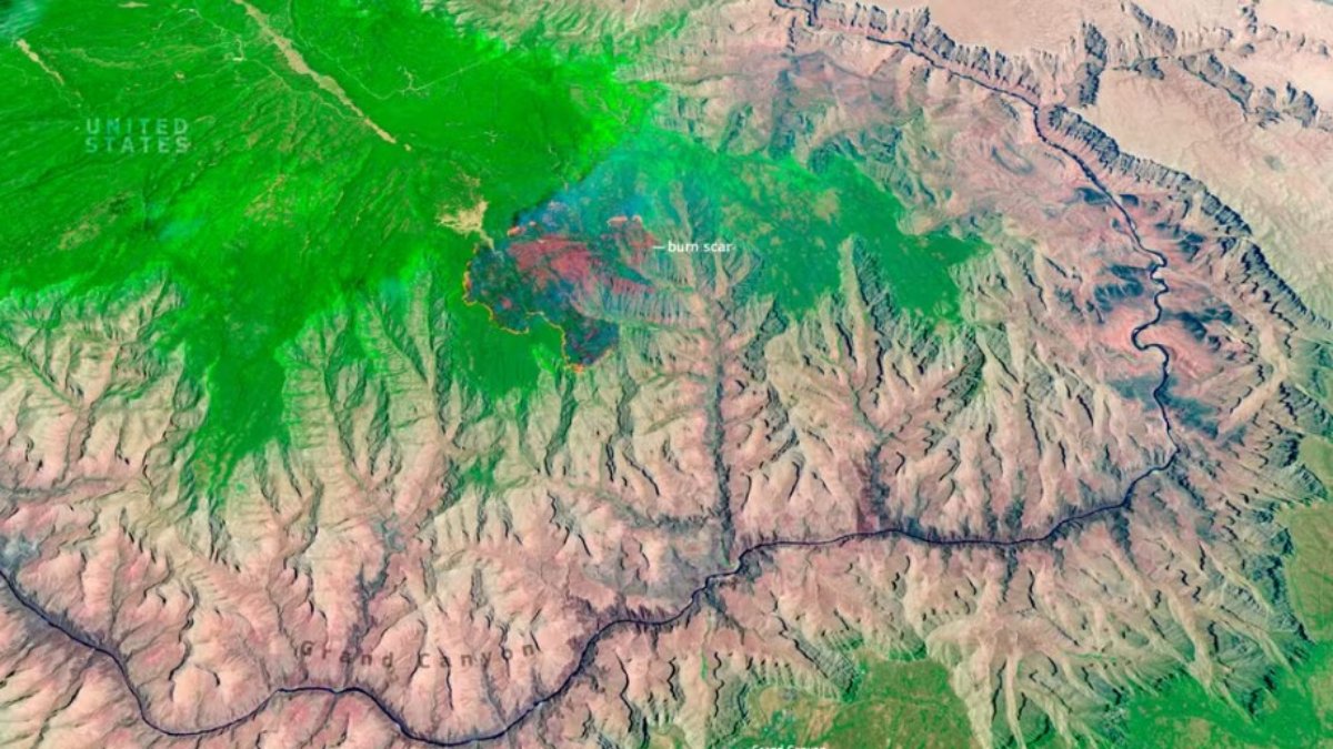 Foto foi captada pelo satélite Copernicus Sentinel-2 na última terça-feira (15/7)
