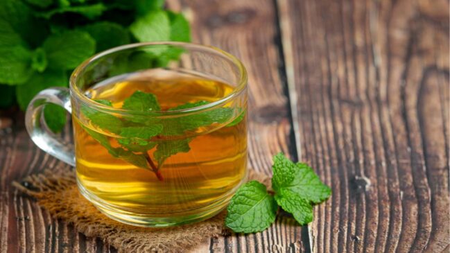 Conheça a planta que faz bem para o seu corpo e a sua mente, segundo especialistas