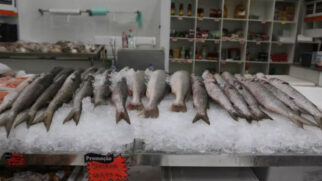 Aproveitando o período de safra, quando a oferta de pescado aumenta nas bancas, permissionários do Mercado de Peixes conseguiram negociar preços mais baixos com os fornecedores
