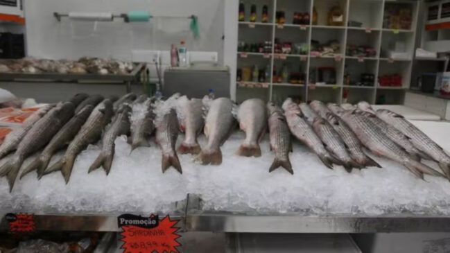 Aproveitando o período de safra, quando a oferta de pescado aumenta nas bancas, permissionários do Mercado de Peixes conseguiram negociar preços mais baixos com os fornecedores