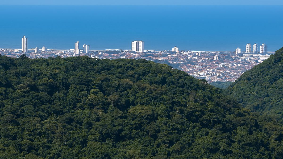 O bairro reserva um tesouro único no Estado