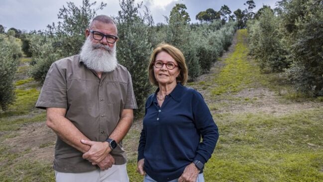 Bob Vieira da Costa e Bia Pereira, responsáveis pela empresa Azeites Sabiá