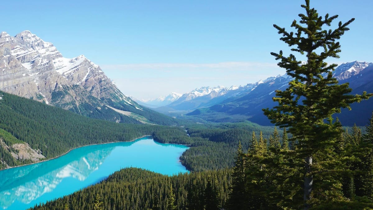 Lago Peyto - Canadá: Se na Austrália a coloração da água é rosa, neste lago canadense as águas são totalmente azuis. Isso se deve a uma "farinha glacial", gerada pelas geleiras, que faz a luz do sol realçarem a cor azul - (Maarten Van Den Heuvel/Pexels)