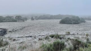 Cidade de Urubici amanhaceu com neve nesta terça-feira (1&ordm;/7)