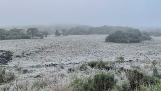 Cidade de Urubici amanhaceu com neve nesta terça-feira (1º/7)