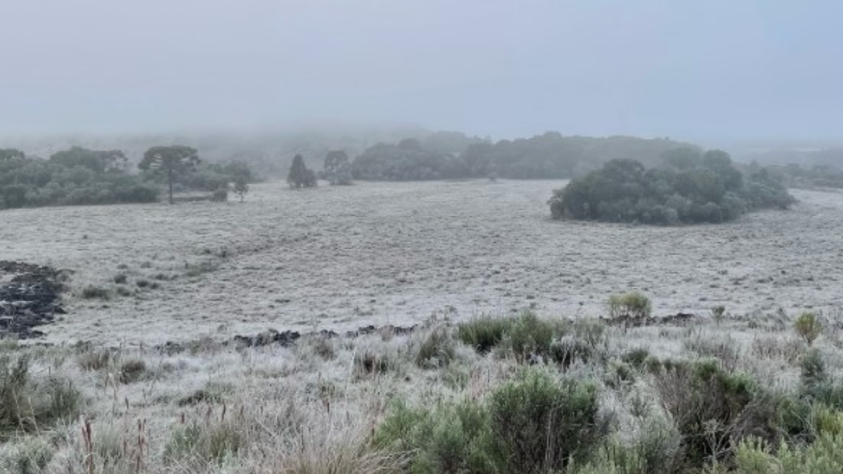 Cidade de Urubici amanhaceu com neve nesta terça-feira (1&ordm;/7)