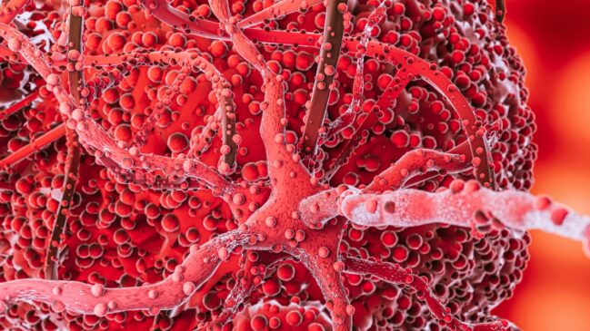 Células vitais para combater infecções