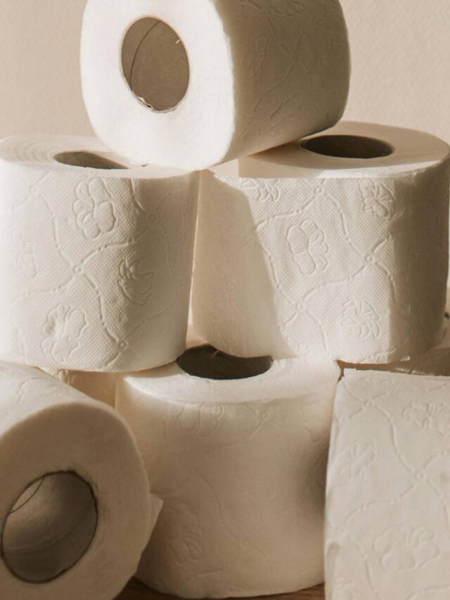 Coloque um rolo de papel higiênico na água quente e se surpreenda