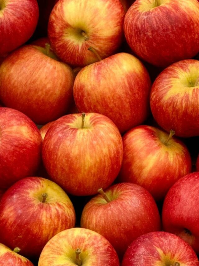 Comer essa fruta todos os dias pode proteger contra até 5 tipos de câncer