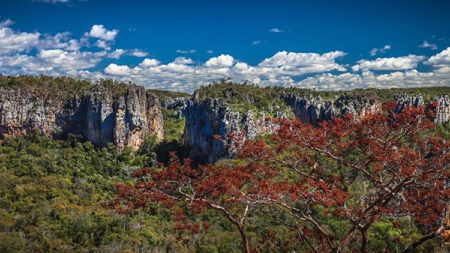 Caso o título seja concedido, o Parque Nacional das Cavernas do Peruaçu será o nono patrimônio natural brasileiro