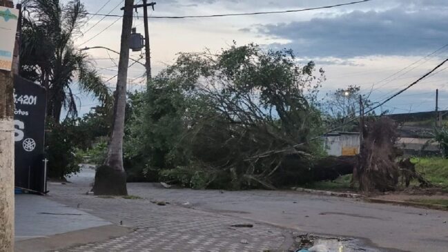 Ventania provoca risco de quedas de árvores, destelhamentos e danos estruturais