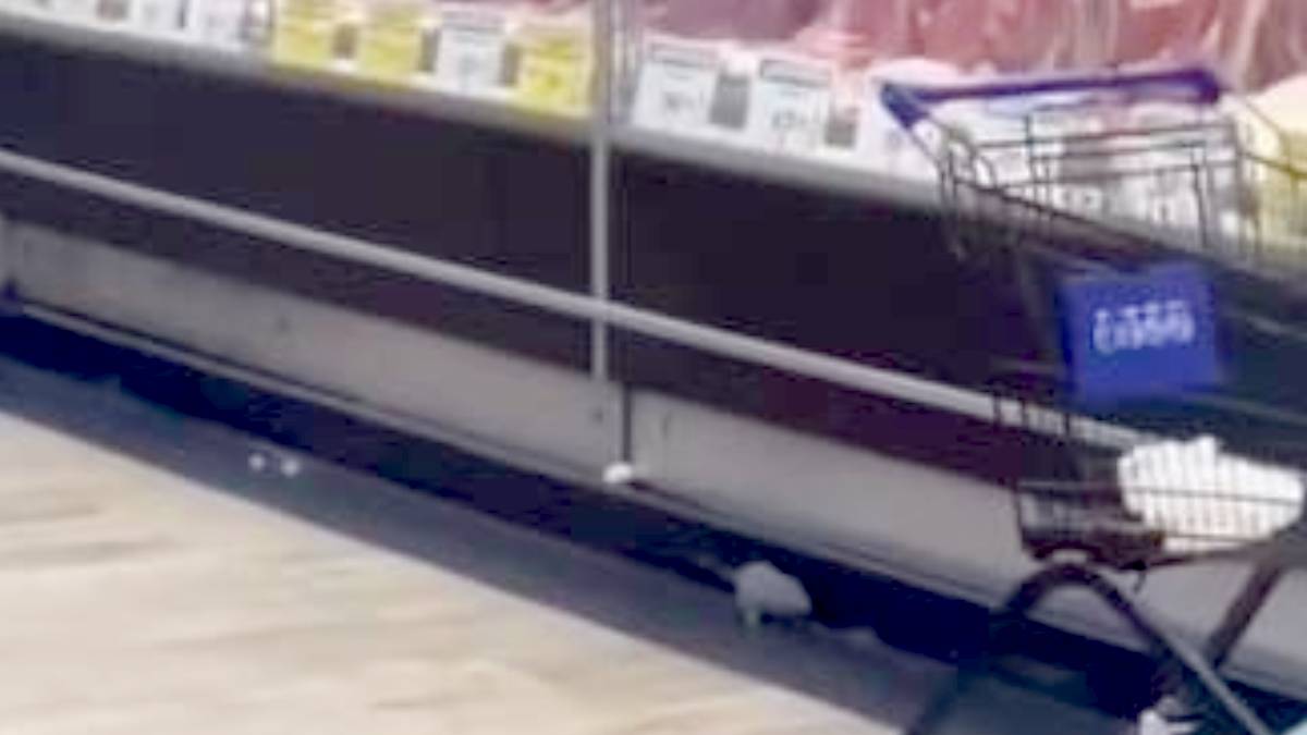 Rato foi flagrado nos corredores de um açougue de supermercado