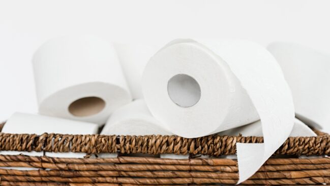 Entenda o porquê você deve trocar o rolo de papel higiênico sempre que for para um hotel