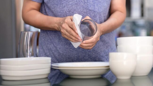 Conforme o Dr. Bactéria, a louça deve ser lavada e colocada no escorredor para secar naturalmente