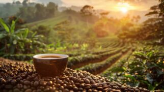 Para alguns analistas econômicos, não há motivo para que as vendas do produto para o mercado americano despenquem