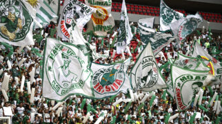 Palmeiras sobe uma posição e tem 3ª maior torcida do Brasil