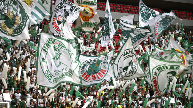 Palmeiras sobe uma posição e tem 3ª maior torcida do Brasil