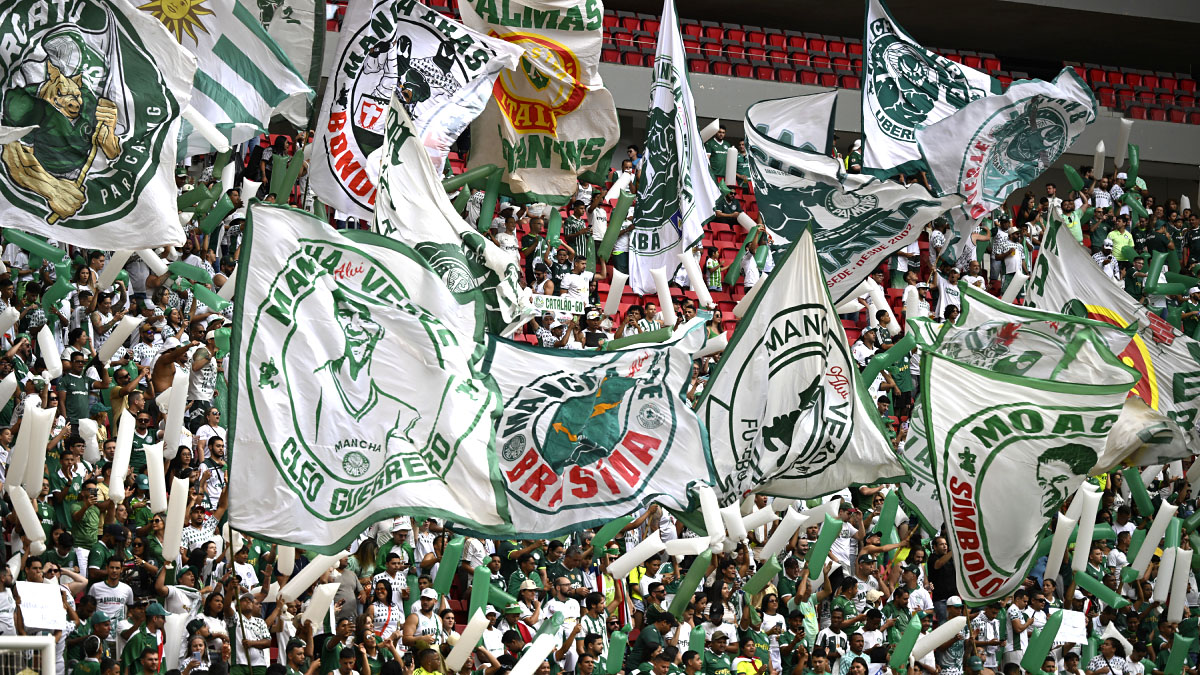 Palmeiras sobe uma posição e tem 3ª maior torcida do Brasil