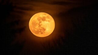 Dica valiosa para quem deseja observar a Lua é procurar local com boa visibilidade do céu e pouca poluição luminosa