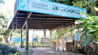 Evento gratuito aborda importância das cobras no ecossistema