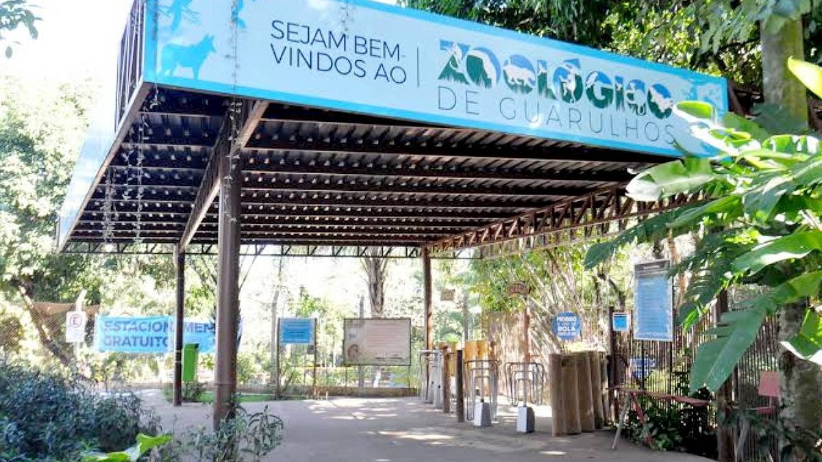 Evento gratuito aborda importância das cobras no ecossistema