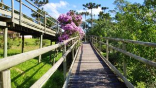 A Trilha das Bromélias é somente uma das diversas do parque