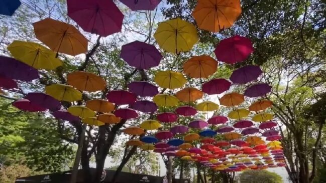 Destino mistura cultura holandesa, campos floridos e festas tradicionais que encantam turistas