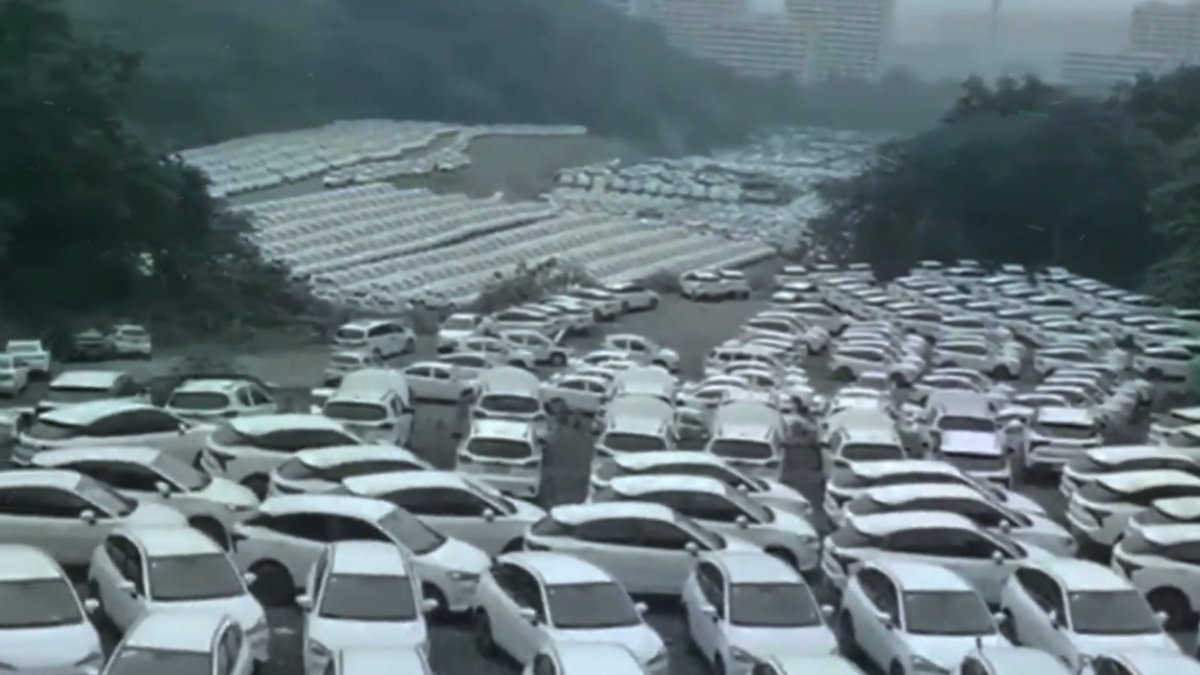 Cor dos carros ajudou a revela a resposta deste mistério