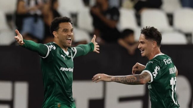 Palmeiras e Sport se enfrentam, nesta segunda-feira, no Brasileirão Série A