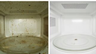 Aprenda limpar seu mico-ondas de maneira rápido e fácil com um item comum