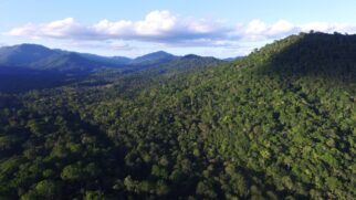 RCGI-USP Carbon Registry é capaz de adaptar essas práticas ao contexto e biomas brasileiros