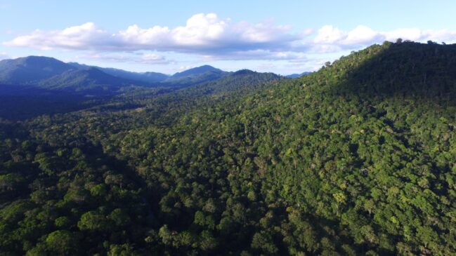 RCGI-USP Carbon Registry é capaz de adaptar essas práticas ao contexto e biomas brasileiros