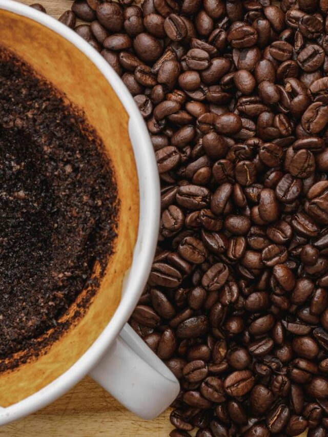 ‘Terra do Café’ fica na cidade mais alta e fria do Nordeste
