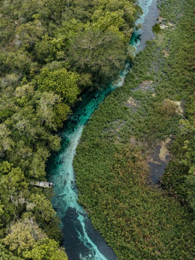 Terceiro rio mais transparente do mundo fica no Brasil