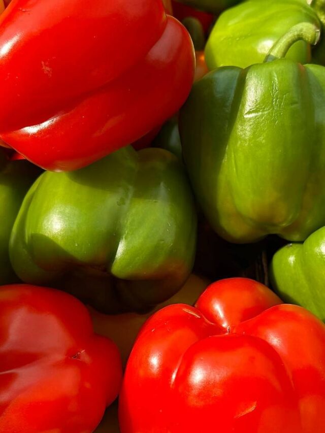 Pimentão verde ou vermelho, qual é mais saudável?