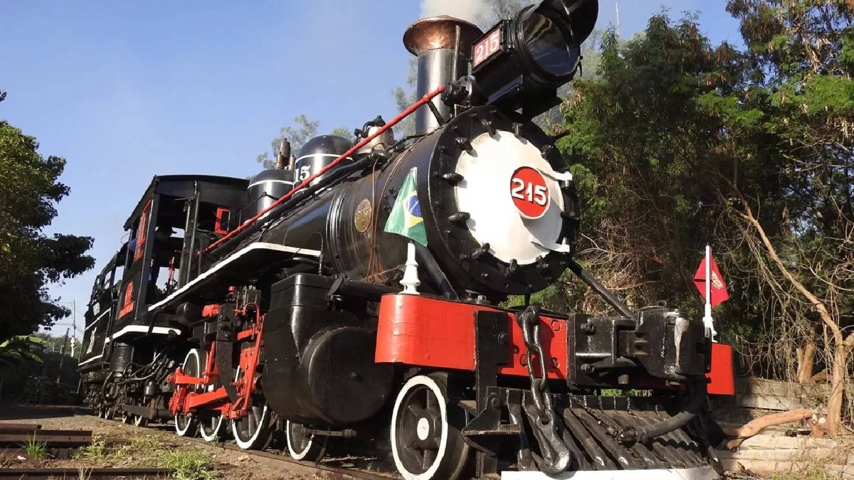 Conhecido como Maria Fumaça Campinas, o passeio tem várias modalidades
