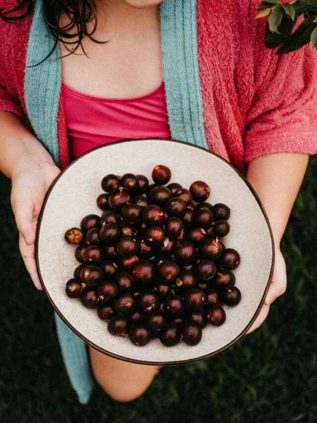 Parque perto de São Paulo tem rodízio de jabuticaba e morango