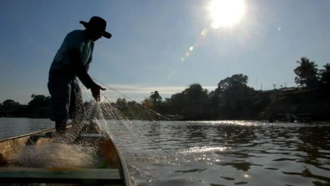 Conhecida como "A cidade que nasceu para a pesca!", Paulicéia se destaca por oferecer a melhor pescaria de toda a região.