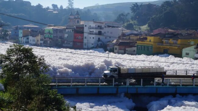 A espuma tóxica impede a entrada de luz no rio, interrompe a fotossíntese de algas e plantas aquáticas e reduz drasticamente o oxigênio dissolvido na água.