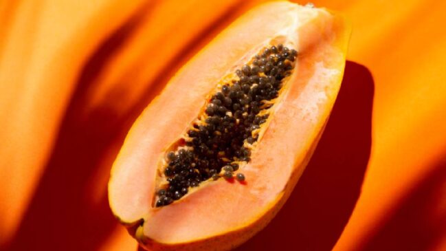 As sementes do mamão têm sabor picante e podem ser usadas como substituto da pimenta-do-reino
