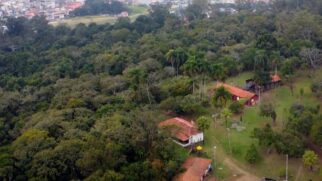 Um dos poucos espaços de preservação da Mata Atlântica em São Paulo
