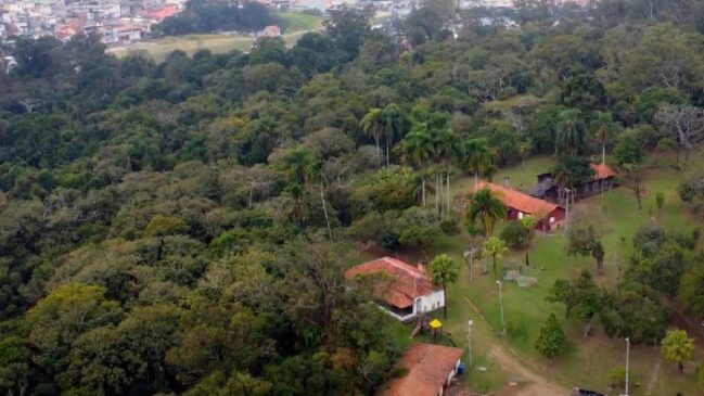 Um dos poucos espaços de preservação da Mata Atlântica em São Paulo