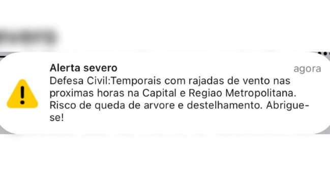 Órgão indica risco de queda de árvore e destelhamento na capital paulista
